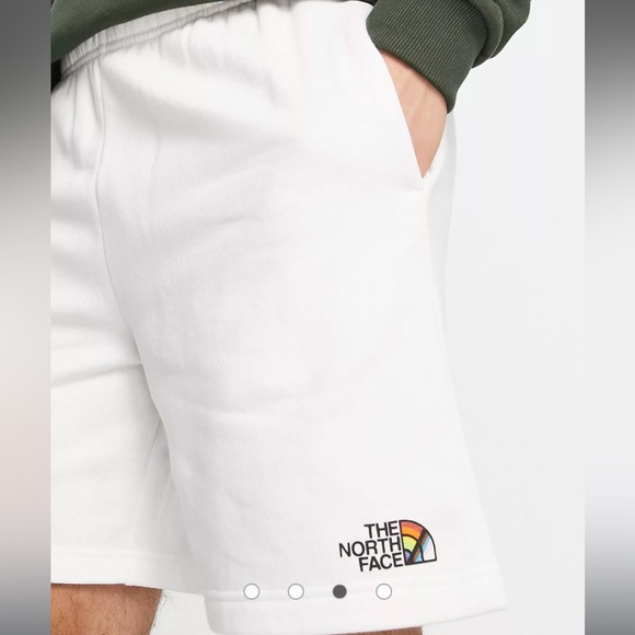The North Face Men's Never Stop Pride Shorts | NWT Size Small, Fast Shipping - Picture 3 of 4